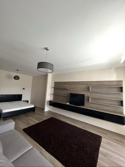 Оренда просторої 1.5 кі-ної біля Токіо Ужгород - зображення 7