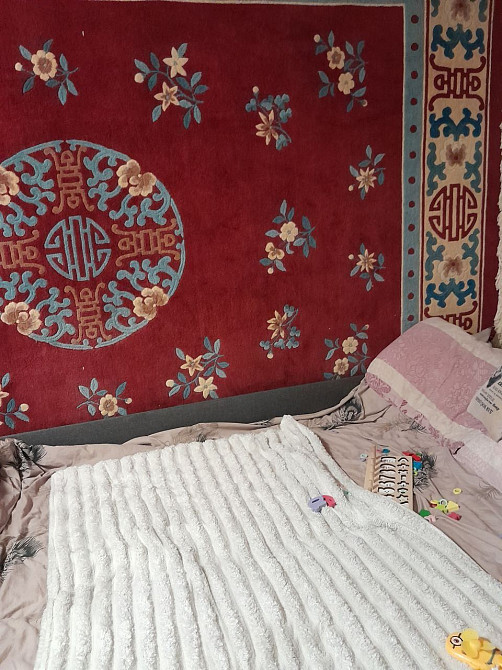 Здам 2 кімнатну квартиру в Гайку Біла Церква - зображення 4