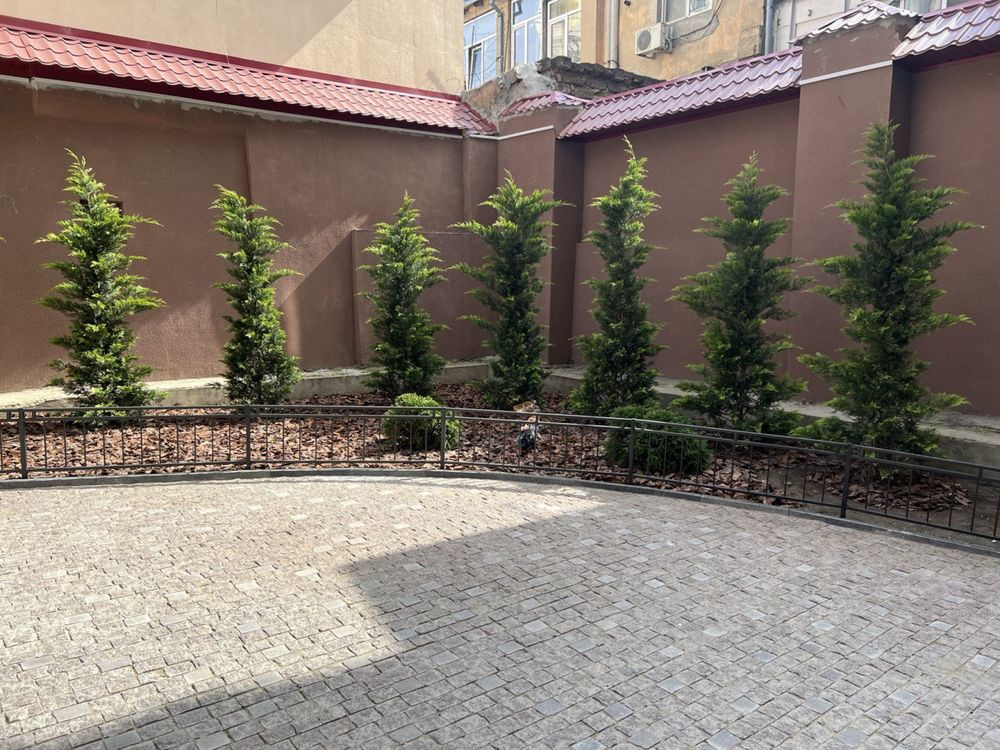 Пентхаус ЖК «ВИНДЗОР» Одеса - зображення 3