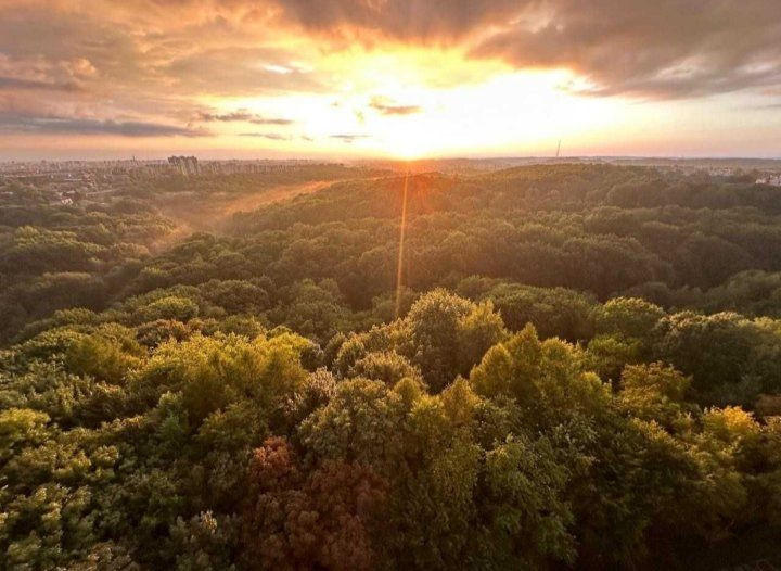 Оренда квартири в преміальному комплексі "Tiffany" в парку Погулянка Львів - зображення 6