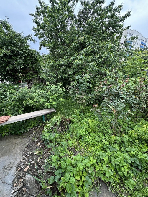 Продається квартира (частина будинку), центр, район Хлібокомбіната. Умань - зображення 6