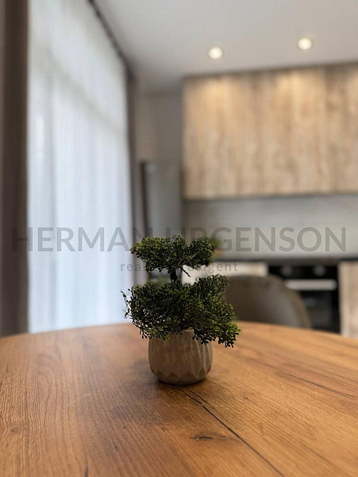 Довгострокова оренда 1к квартири / вул. Руська, Центр Ужгород - зображення 3