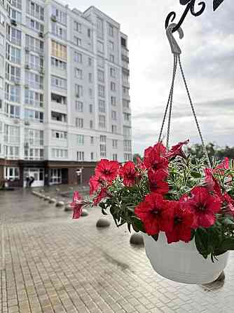 1-кімнатна, 54 м2. Автономне опалення. Політех. Чернигов