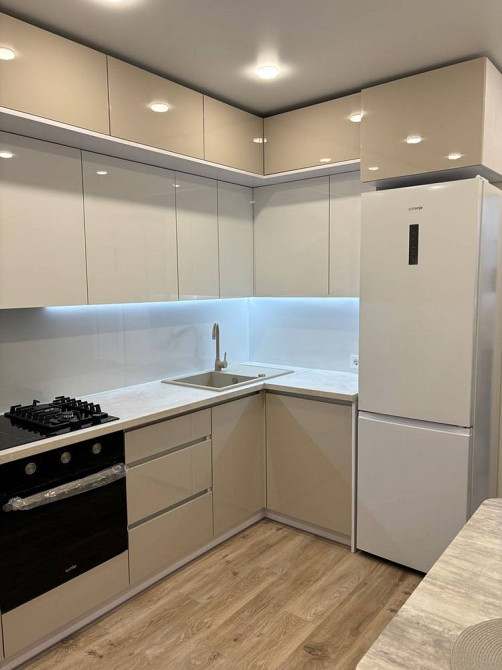 Оренда 1-кімнатної квартири Малоголосківські пагорби Львов - изображение 5