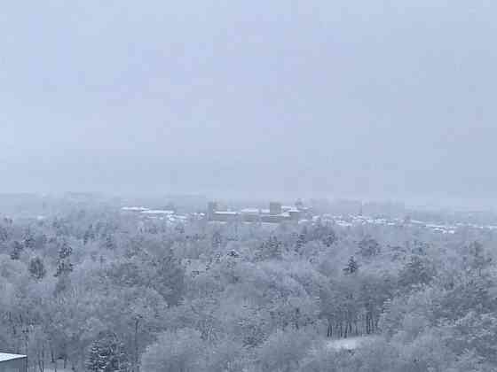 Здається в оренду 1-кімнатна квартира в ЖК "Люцеорія" — центр міста! Луцьк