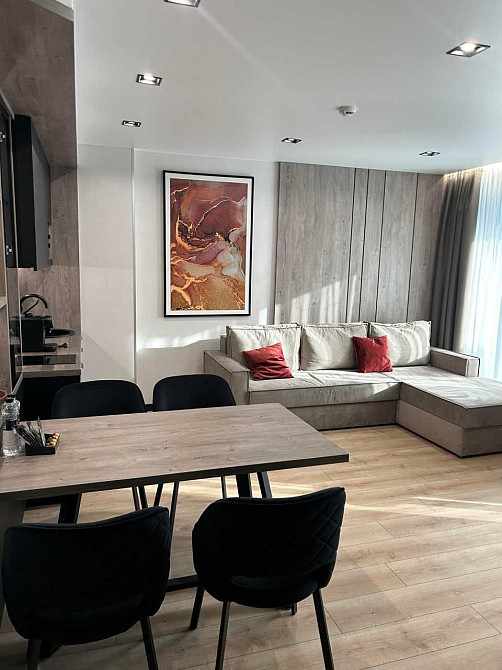 Довготривала оренда 1к+студії в Glacier Premium Apartments, Буковель Поляниця (Буковель) - зображення 6