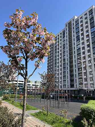 Продаж однокімнатної квартири. Без комісії! Київ