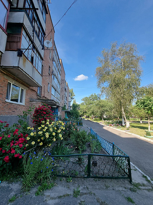 Затишна 2х кімнатна квартира на середньому поверсі, район новобудови Полтава - зображення 1