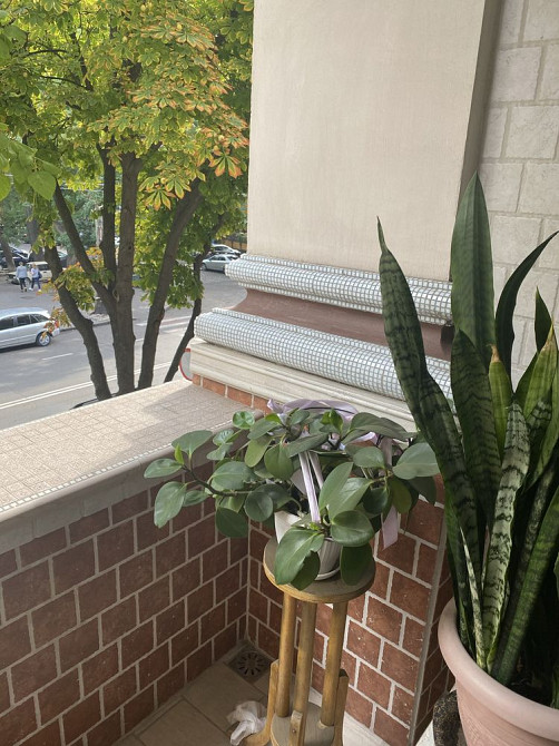 Квартира в Сталинке.Серце міста у вас вдома Одеса - зображення 7