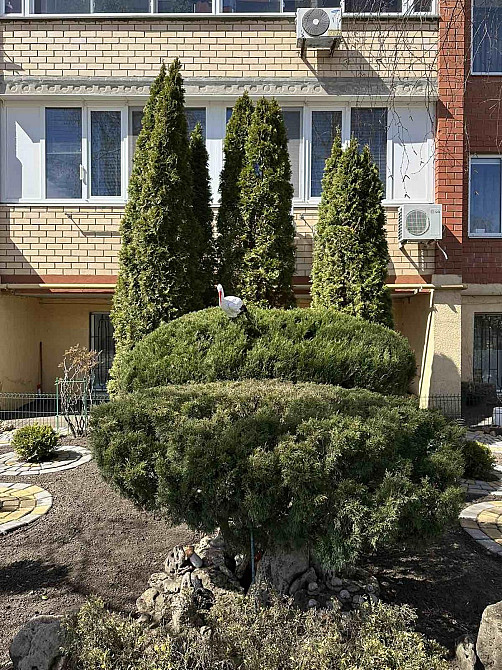 Аренда квартиры 2-х комнатной в Совиньоне Одесса - изображение 1