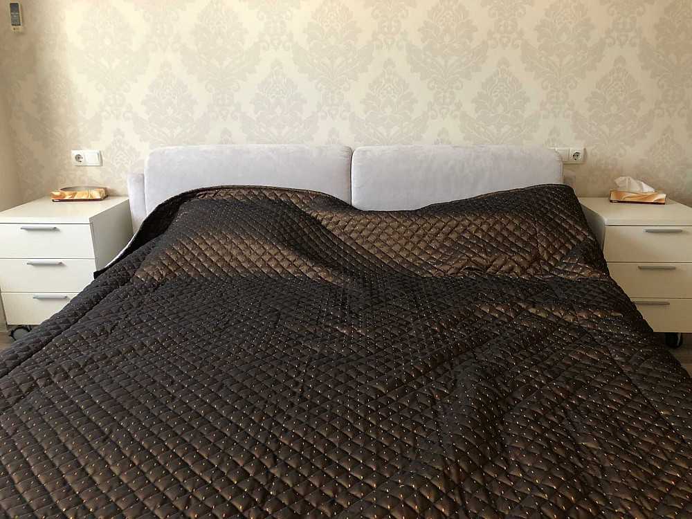 Оренда 2- кім. квартири бул. Миколи Міхновського 14-16(Дружби Народів) Київ - зображення 3