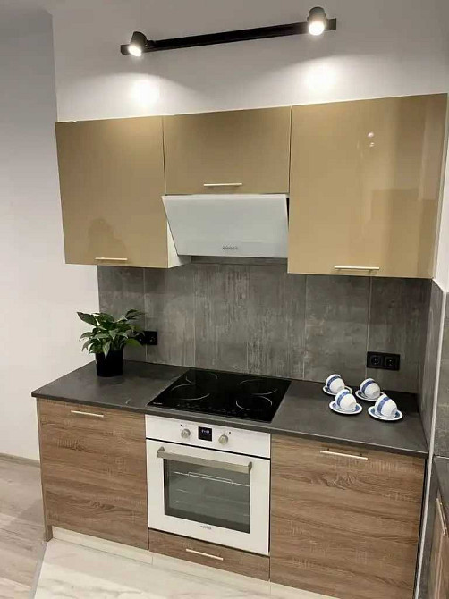 Аренда 2к квартиры 48м² ЖК Пихтовый, Зеленый Гай | дети, животные + Днепр - изображение 7