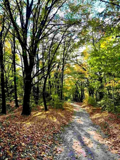 ВИГІДНО Лисогірський пр ЖК Orange City. Голосіївський.Деміївська Київ - зображення 2
