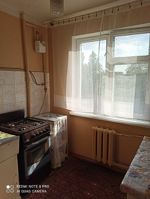 здається 1 -кімнатна квартира в Житомирі Житомир - изображение 1