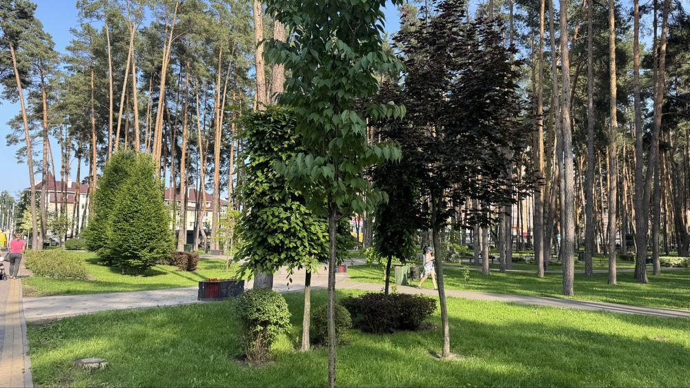 Терміновий продаж! 1к квартира з ремонтом біля Центрального парку.Торг Ирпень - изображение 2