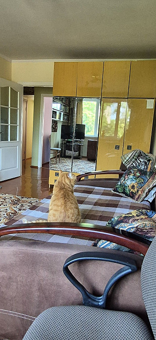 Продаж 2к квартири Перекопська центр міста плюс гараж у дворі як бонус Сумы - изображение 4