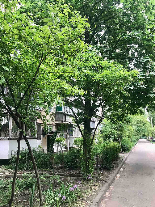 Редкое предложение ! Пароходский  кирпичный дом. Одеса - зображення 1