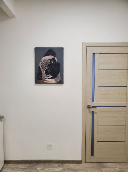 Без комісіі сдам в оренду квартиру Карнауховка(Днепропетровская обл.) - изображение 6