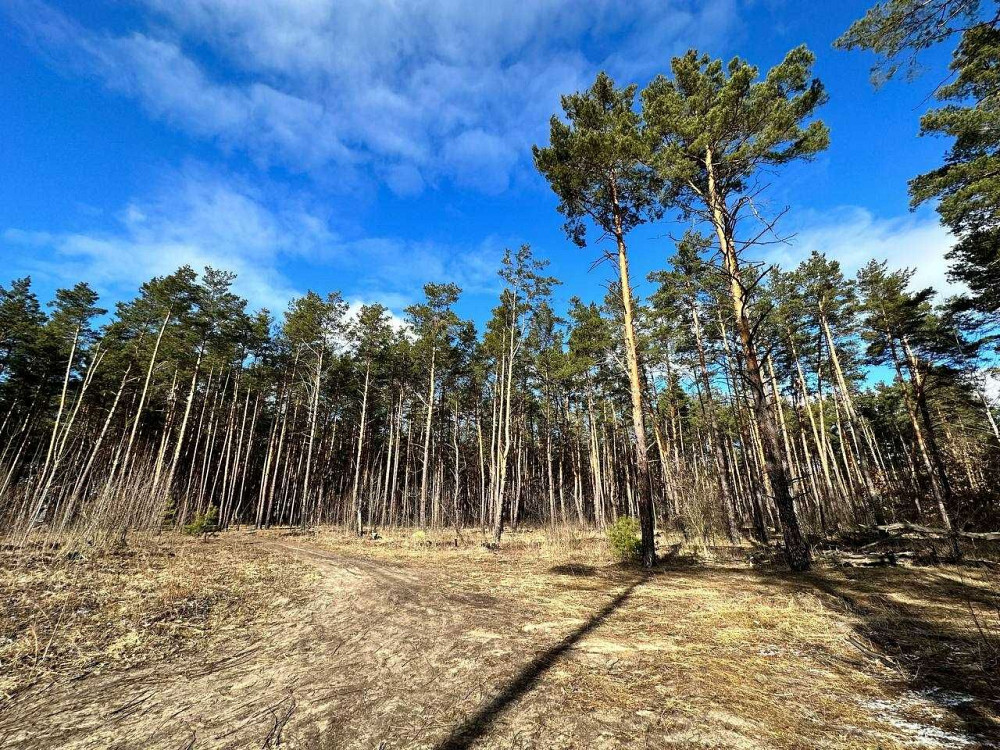 Відмінна квартира в зеленому районі, за 17600 $ Київ - зображення 3