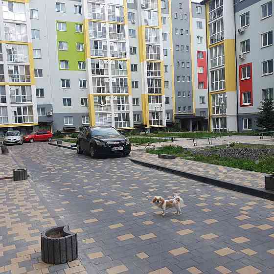 Здам в оренду  1  кімнатну квартиру.  Можна з  твариною. Винница