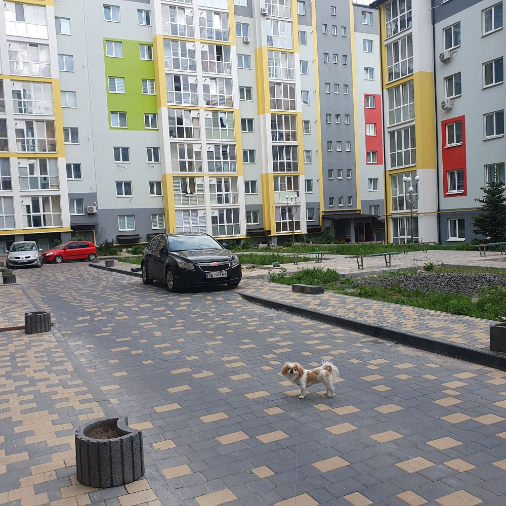 Здам в оренду  1  кімнатну квартиру.  Можна з  твариною. Вінниця - зображення 1