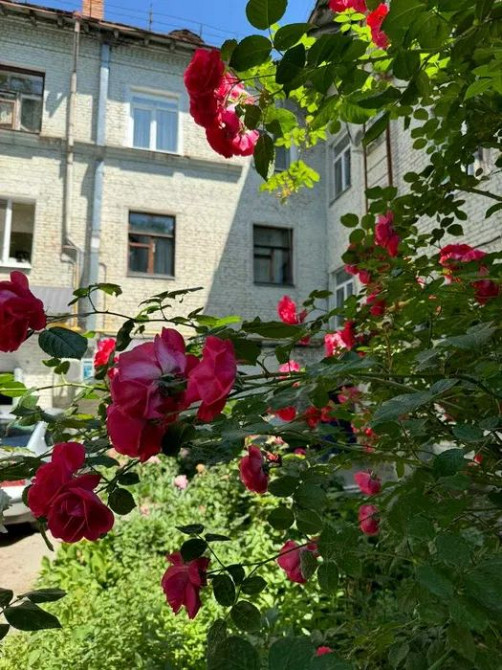 Продам 4-и к/к 85 м2 з гарним розташуванням в самому центрі міста. Кропивницкий - изображение 8