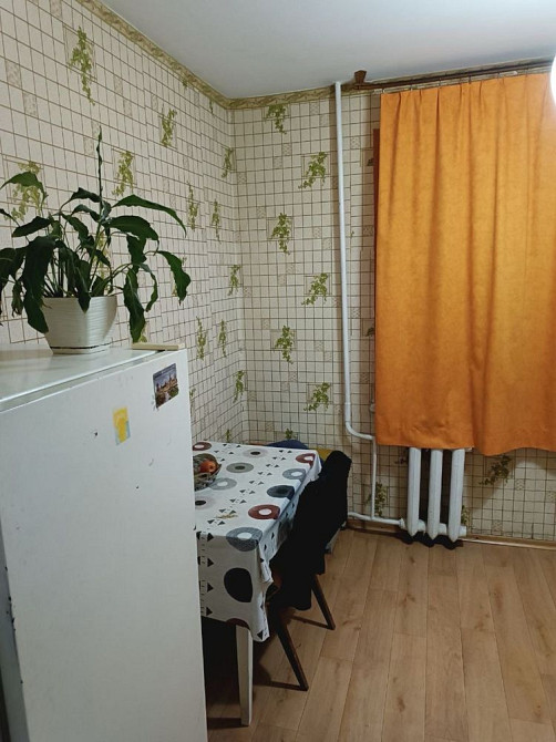 Здам 1к зупинка Дачна без тварин Винница - изображение 3