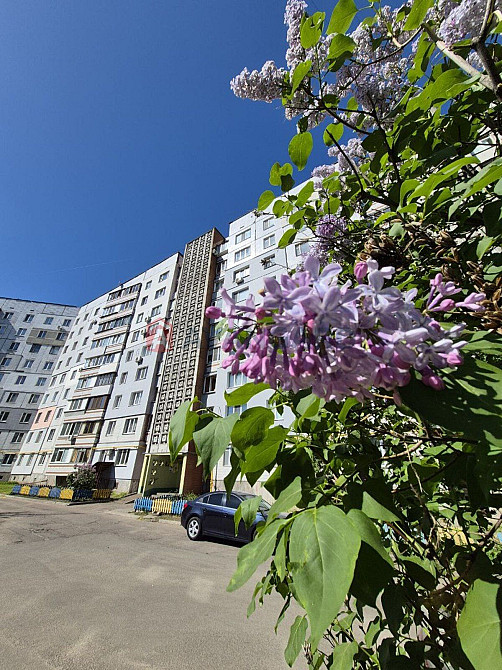 Митниця. Продаж 3-х кімнатної квартири Черкассы - изображение 2