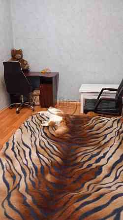 Здам 3-кімнатну квартиру, Москальовка Харьков