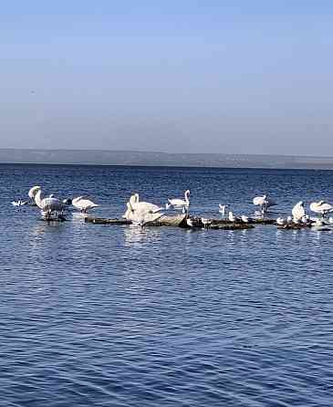 Продам 1-квартиру Левый берег 9 мкрн Каменское (Запорожская обл.)