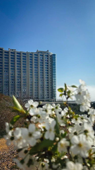 3-хкімнатна. Морська Симфонія. Аркадія. Каманіна Одесса - изображение 5