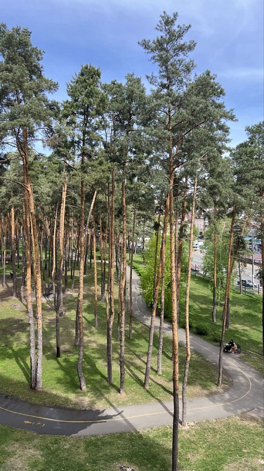 Продаж євро 2к квартири з якісним ремонтом в ЖК Центральний 2 Ирпень - изображение 2