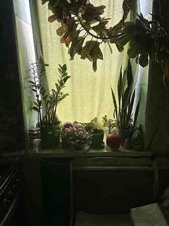 Продаж смарт-квартири по вулиці Чехова Черкассы