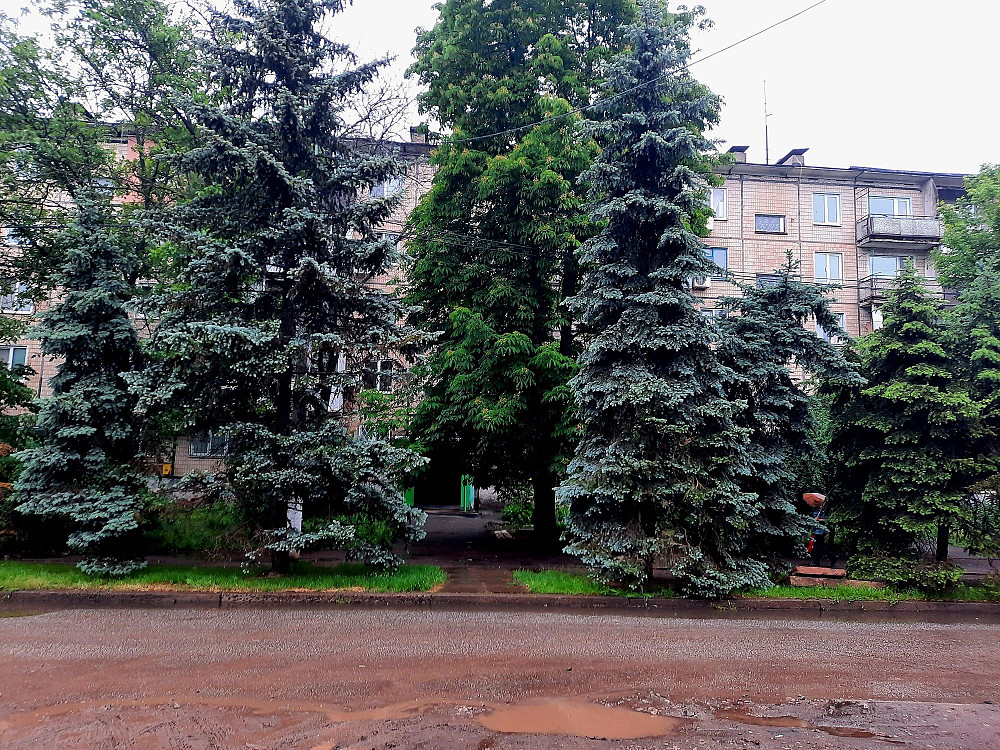 Продам 2к квартиру 17 квартал Карбишева 3 [ЄВідновлення]  - изображение 8