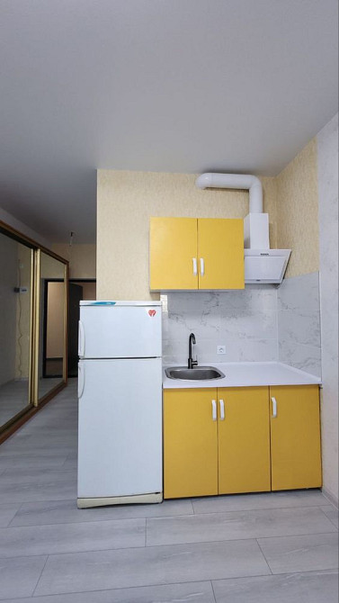 Студия с ремонтом и мебелью. Черемушки, парк Горького Odesa - photo 3