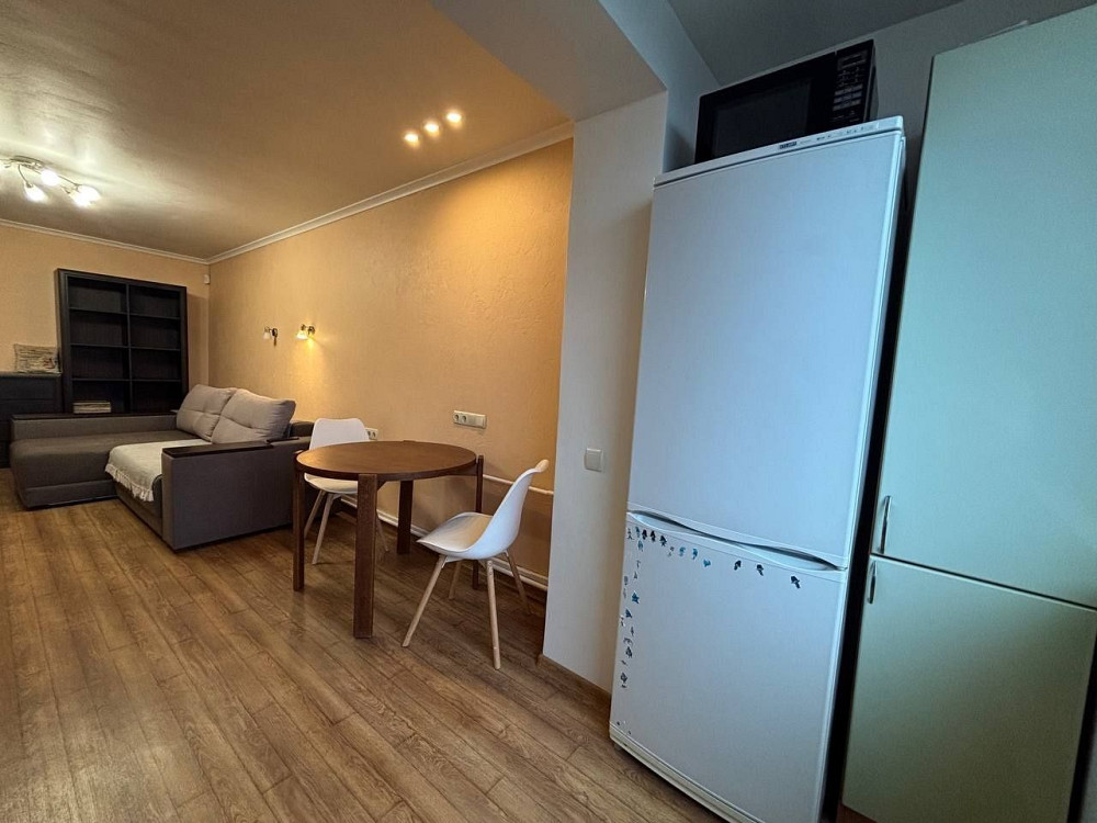 Продам большую 46 м. кв квартиру (Кухня-студия +спальня)Рабочая,центр Днепр - изображение 5