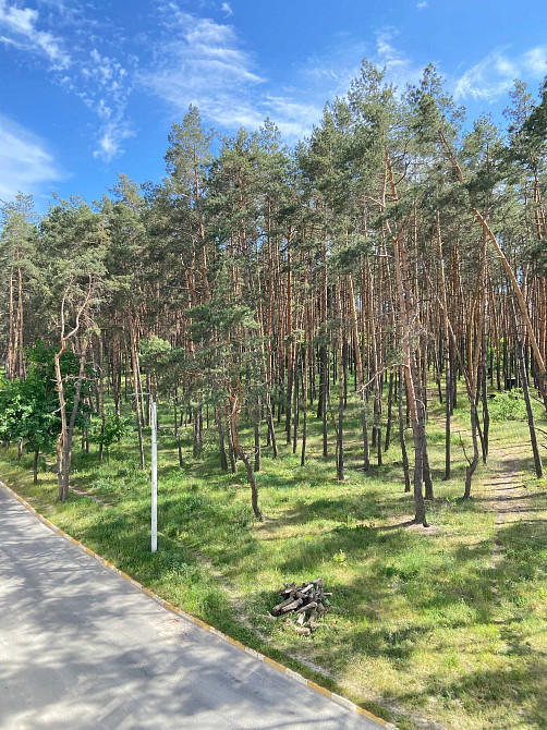 Однокімнатна квартира біля лісу, тиша, свіже повітря та природа поряд! Ирпень - изображение 4