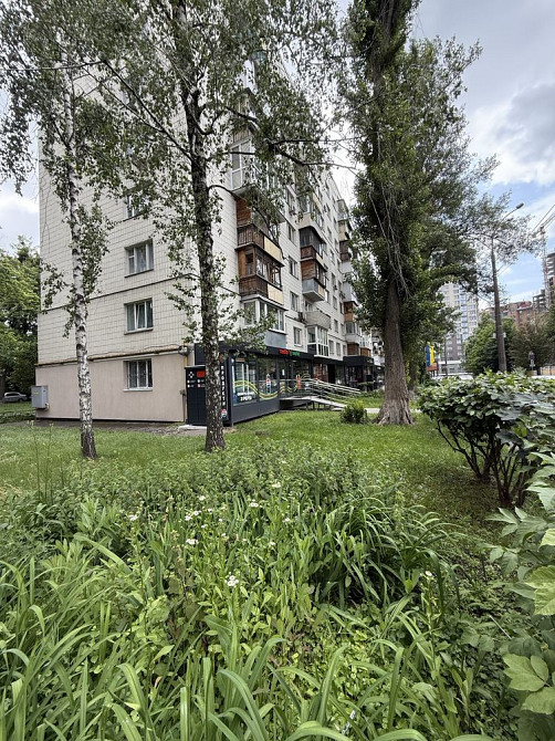 У центральній частині столиці на правому березі Дніпра. Київ - зображення 1