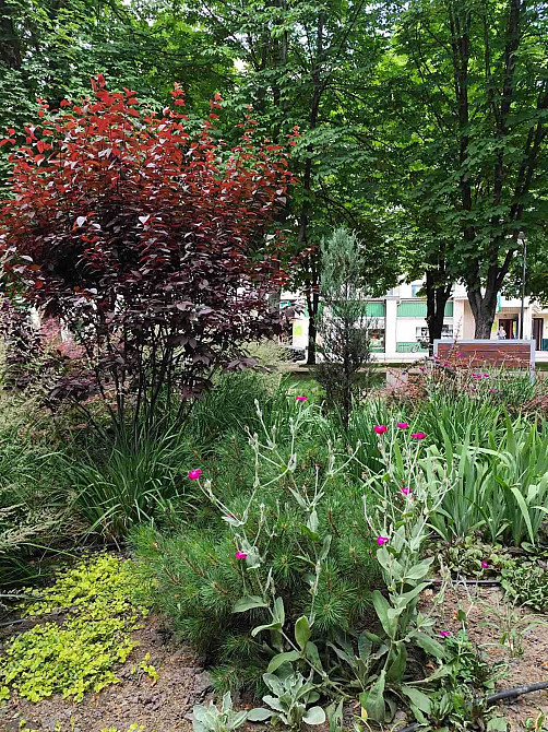 Цікава пропозиція!  Оренда зуп Техучилище Кременчуг - изображение 8