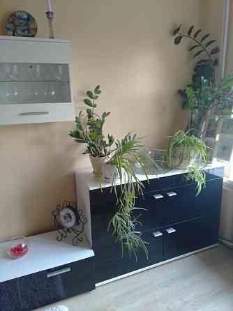 3х кімнатна квартра Измаил