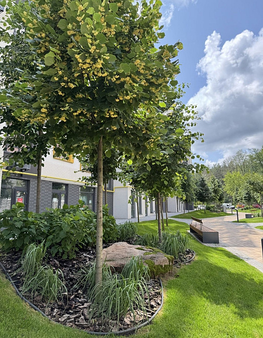 Найдешевша 2кім квартира 63м2, в Ірпені,  новий ЖК поруч з набережною! Ірпінь - зображення 3