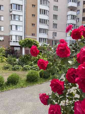 Простора квартира  в центрі Буча