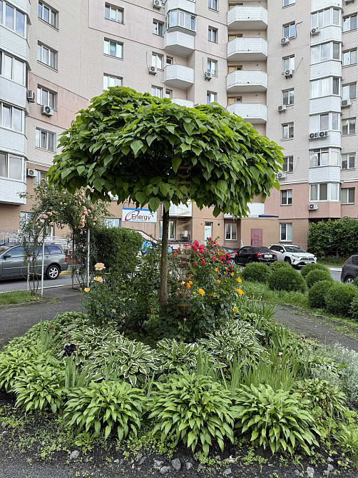 Простора квартира  в центрі Буча - изображение 1