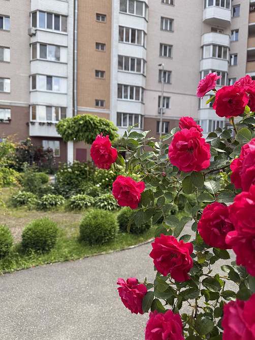 Простора квартира  в центрі Буча - изображение 3