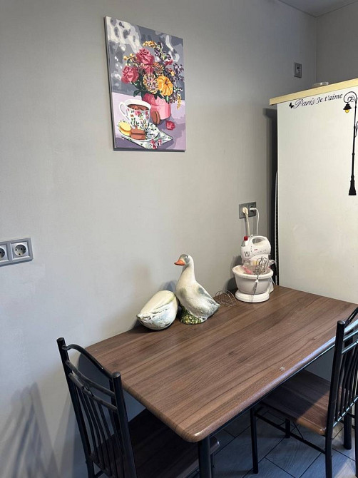 Оренда однокімнатної квартири Замостя. Коцюбинського,Центральний ринок Вінниця - зображення 8