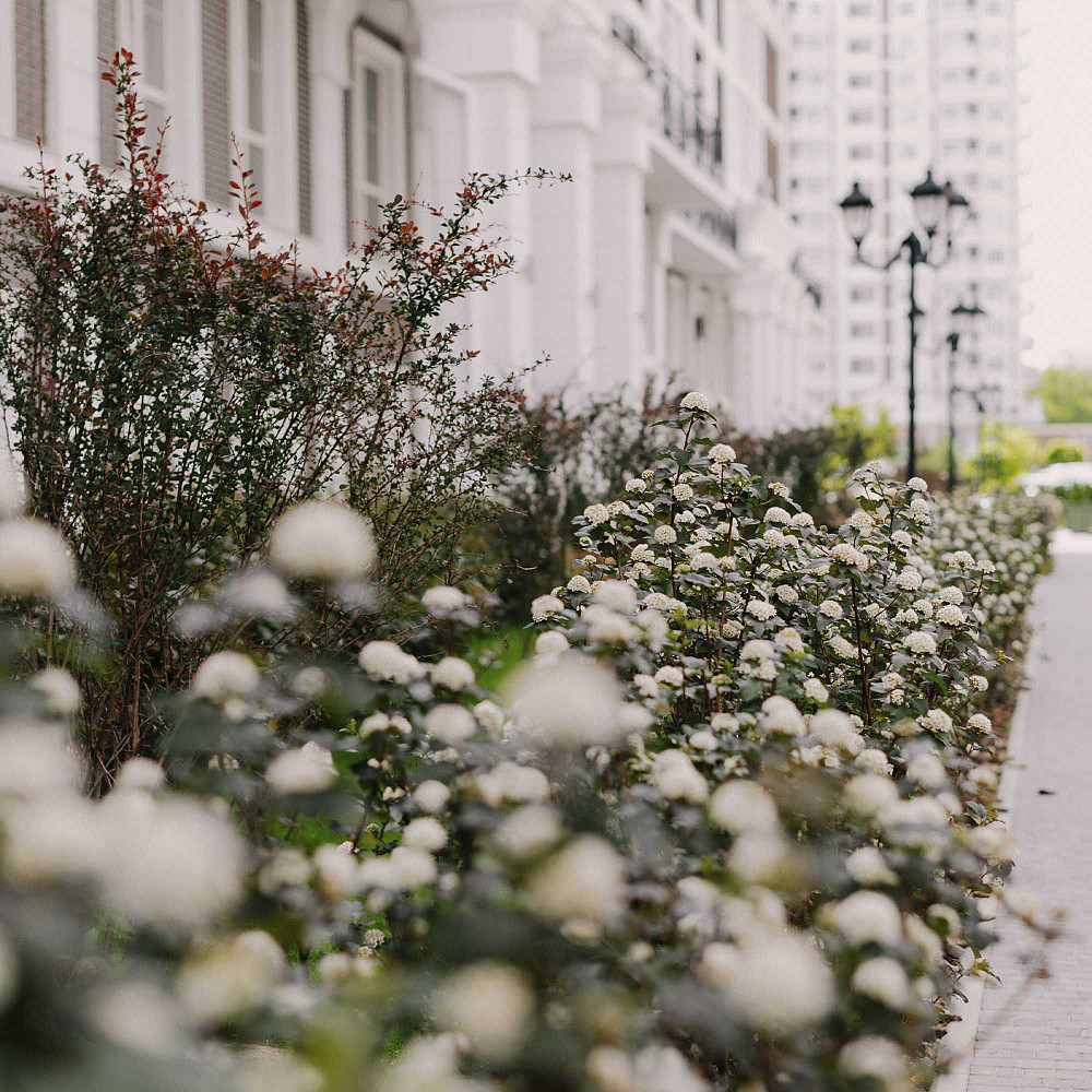 Продаж 2к квартири в престижному ЖК Нова Англія Київ - зображення 7