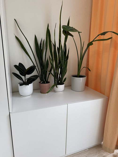 Квартира з ремонтом ірпінь. Індивідуальне газове опалення! Ирпень - изображение 7