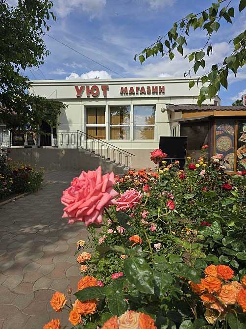 Продам 3 ком.квартиру поселок Нати,Нерубайское,3 этаж,центр. Нерубайське - зображення 4