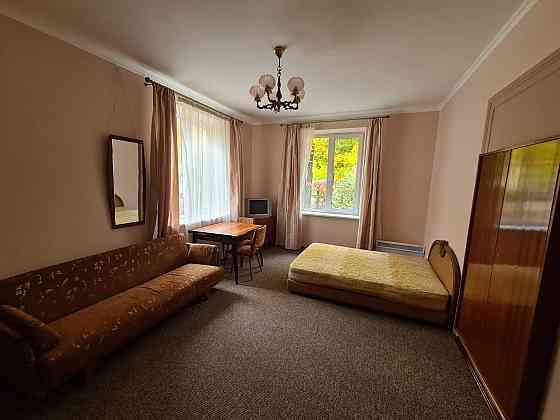 Оренда 1- кімнатної квартири біля площі Петрушевича Центр Львова Львов