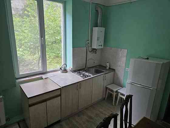 Оренда 1- кімнатної квартири біля площі Петрушевича Центр Львова Львов